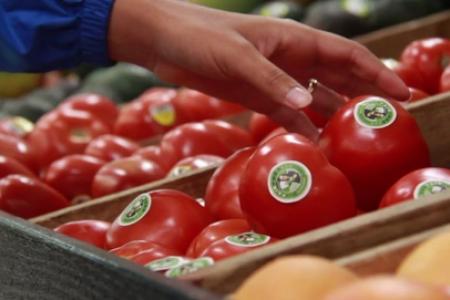 A customer picking tomatoes from store shelves